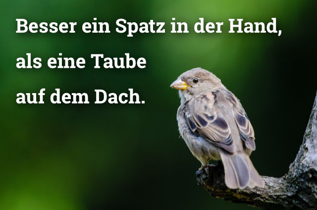 Besser ein Spatz in der Hand, als eine Taube auf dem Dach