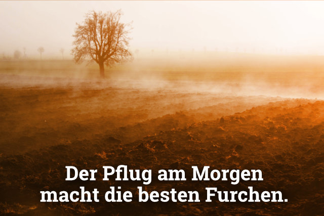 Der Pflug am Morgen macht die besten Furchen