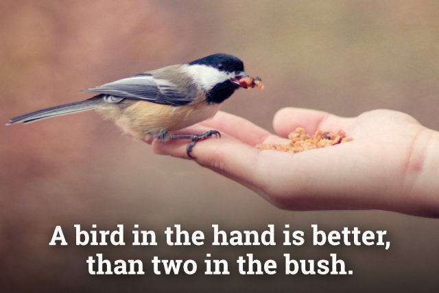 Lepší vrabec v hrsti, nežli holub na střeše