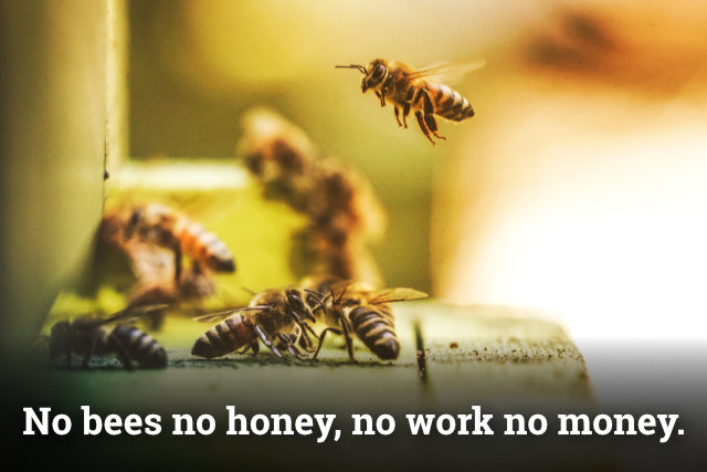 Bez práce nejsou koláče